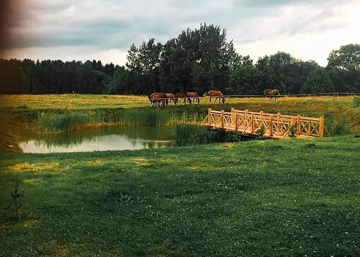 Po Nendriu Stogu
